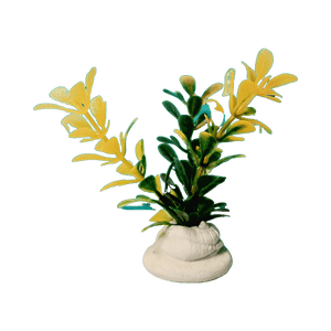 Artificial Plants | আর্টিফিশিয়াল প্ল্যান্টস | Buy Artificial Indoor & Outdoor Plants in Bangladesh – কয়রা বাজার || Koyra Bazar